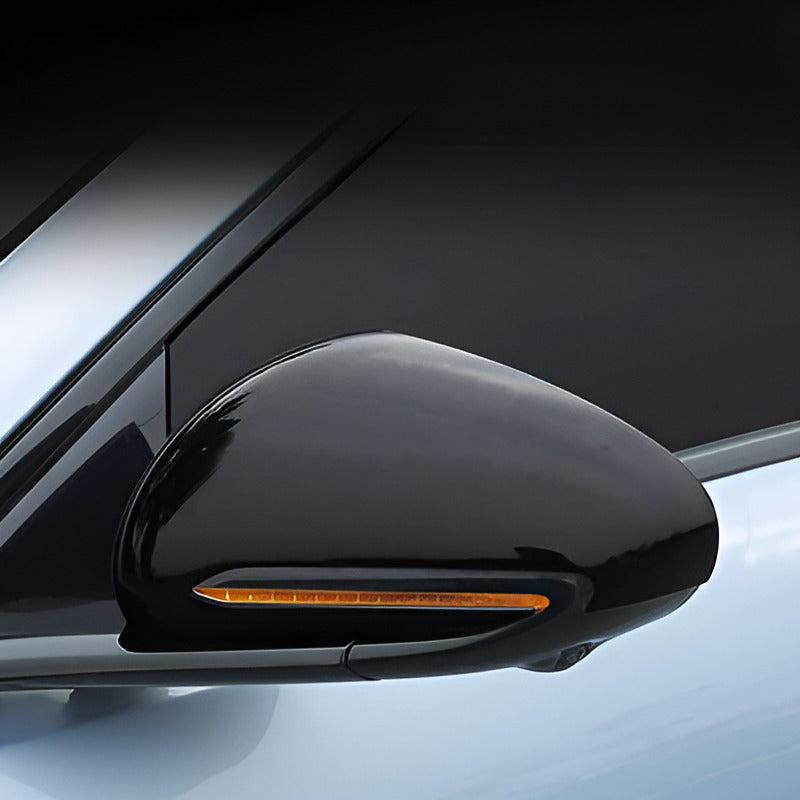 Side Mirror Cover for BYD Seal (2 pcs)